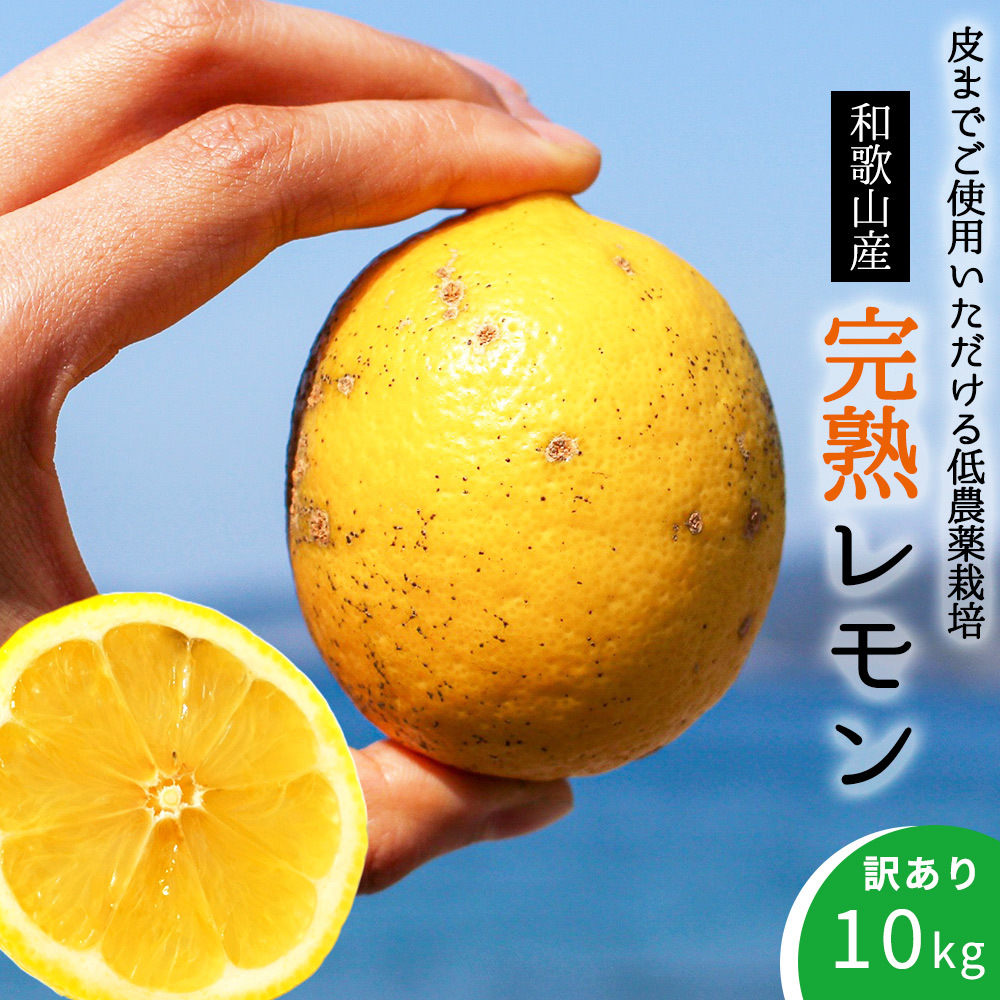 EA6025n_完熟 レモン 10kg 皮までご使用いただける低農薬栽培!