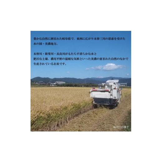 ふるさと納税 岐阜県 大野町 岐阜県産 こしひかり 10kg