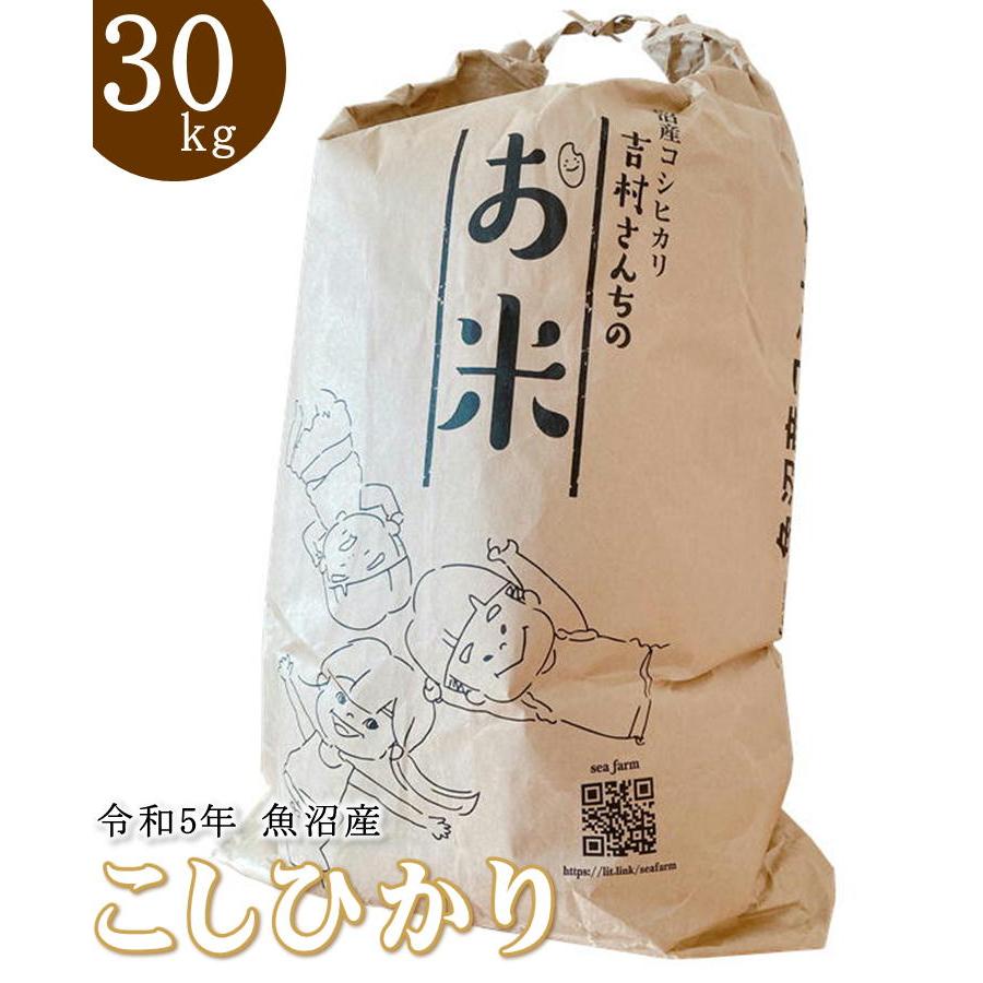 新米 令和5年産 魚沼産コシヒカリ 吉村さんちのお米 精米 30kg  非BL クラシックコシヒカリ 産地直送 sea farm