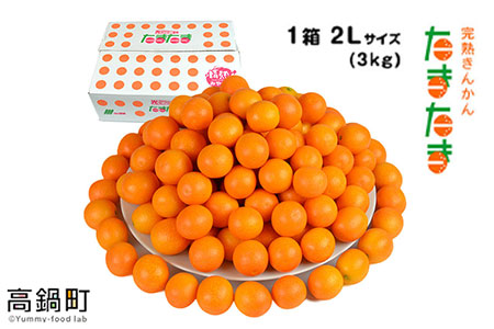 ＜“厳選”完熟きんかん「たまたま」2L×3kg 1箱＞2024年2月上旬～2月下旬迄に順次出荷 金柑 柑橘 果物