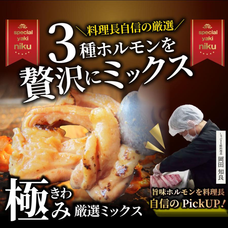 三種 ホルモン ミックス 焼肉 1kg（250ｇ×4パック）秘伝 タレ漬け バーベキュー BBQ 肉 焼くだけ 冷凍キャンプ キャンプ飯