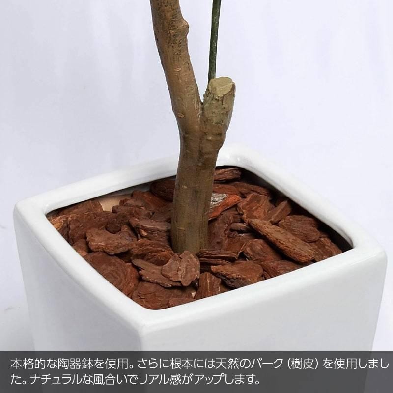 人工観葉植物 大型 エバーフレッシュ 175cm 鉢植 ネムノキ フェイク