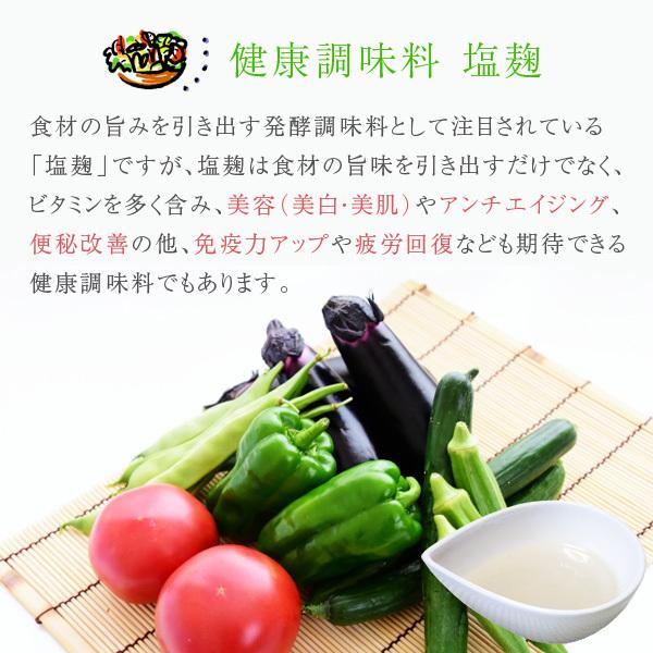 おまかせ 無農薬 旬野菜セット10種類以上と手づくり塩麹［送料無料］■期日指定不可・翌日受取限定 ※時間指定にご注意ください■