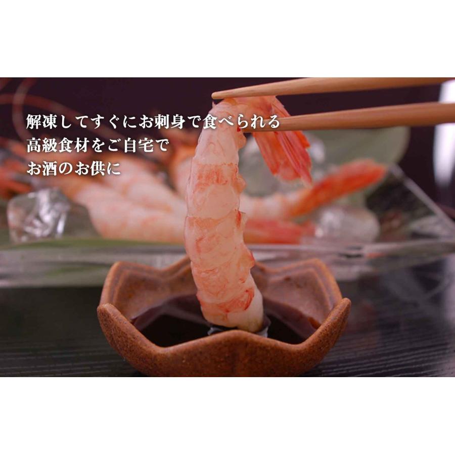 刺身用ボタンエビ 約500g 鮮度抜群 北海道産 ボタン エビ 殻付き 海鮮 お取り寄せ ギフト 内祝い お返し 贈答 ギフト