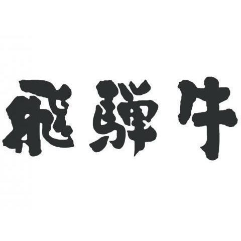 飛騨牛 牛肉 ステーキ A5 A4 モモ 肉 ギフト 飛騨牛 和牛 赤身 国産 結婚祝い 出産祝い 内祝い 産地直送 BBQ バーベキュー 100g×3枚 300g 2〜3人前