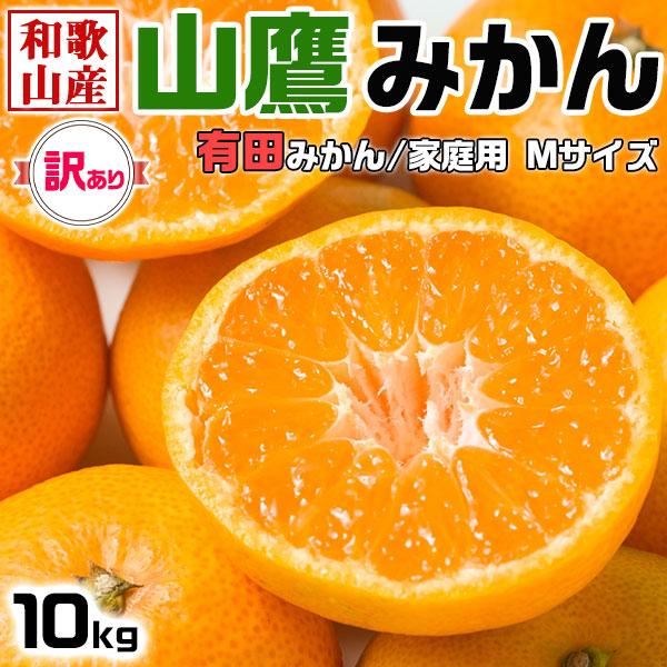 みかん 山鷹みかん　10kg　訳あり　Mサイズ (有田みかん) 家庭用 傷あり やまたかミカン和歌山県産 お歳暮 お正月 クリスマスギフト ギフト広場