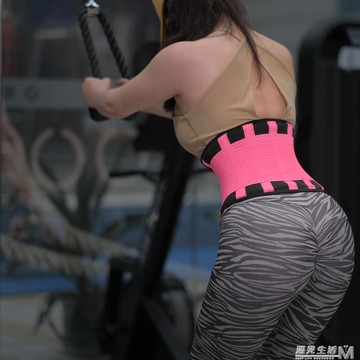 ZE男女運動健身護腰深蹲腰帶硬拉舉重護腰腰封束腰帶器械訓練 免運開發票