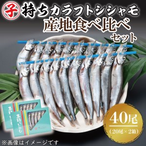 子持ちカラフトシシャモ産地食べ比べセット４０尾（２０尾×２箱） シシャモ ししゃも カラフトししゃも 大洗 カナダ産 アイスランド産_AV014