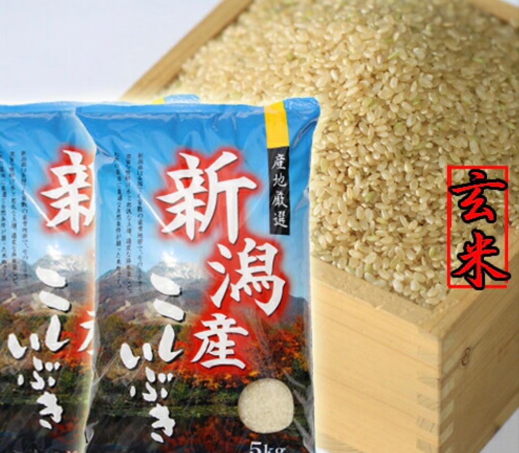 新潟県産　新米 こしいぶき 玄米 30kg 令和５年産 新潟産 米 30kg 玄米 おいしいお米 美味しいお米 産地直送 農家の米 コシヒカリの郷小出農場