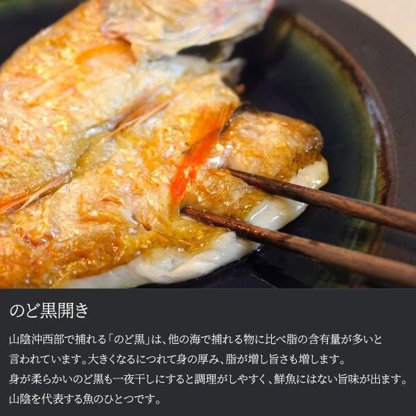 干物 詰め合わせ 送料無料 出雲産 干物セット 海鮮 グルメ 贈答 のどぐろ どんちっちあじ さば酒塩干し えてかれい するめいか一夜干し お取り寄せ お歳暮