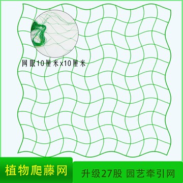綠色27股搭架網葡萄百香果植物園藝種植網花卉豆角牽藤尼龍爬藤網