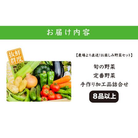 ふるさと納税 期間限定 鮮度抜群 農場より直送！お楽しみ野菜セット 旬の野菜・定番野菜・手作り加工品詰合せ8品以上 【2024年7月よ.. 福井県越前町