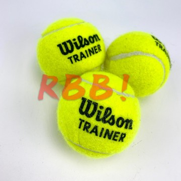 【現貨 免運】網球玩具 Wilson 球質硬 耐咬 專業網球 網球練習球 寵物訓練 寵物玩具 玩具球- RBB
