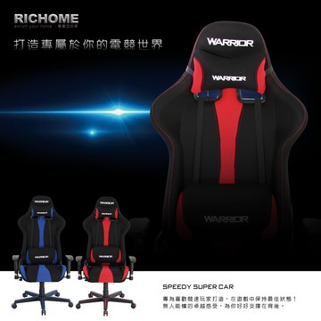 richomet1人體工學電競賽車椅/電競椅/電腦椅/辦公椅/工作椅/旋轉椅 (2色)