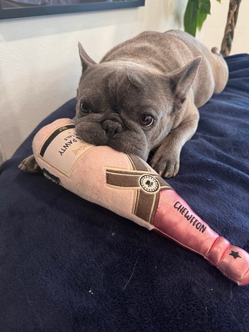 【狗玩具】 CHEWFFON 玫瑰香檳