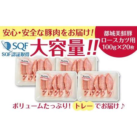 ふるさと納税 都城美鮮豚ロースカツ用20枚セット_AA-5402_(都城市) 豚 豚ロース 真空パック 100g×5枚 合計20枚 とんかつ 宮崎県都城市