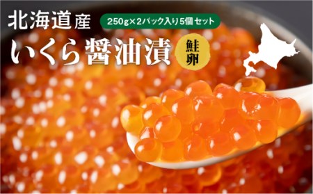 北海道産 いくら醤油漬（冷凍）２５０ｇ×２パック入り　５セット OSMM003