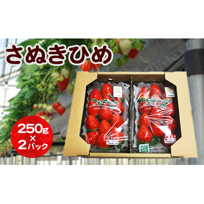 香川県「さぬきひめいちごDXパック（250g×2）」