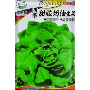 【原廠包裝】奶油生菜種子 免煮即食 嫩葉沙拉必備 陽台盆栽水耕可 快速收成 四季可種 新手友善 家庭菜園 生菜自由