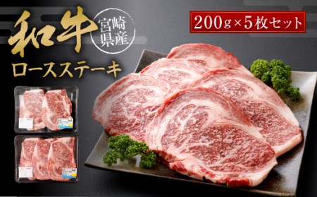 宮崎和牛 ロースステーキ 約200g×5枚セット 約1000g 約1kg