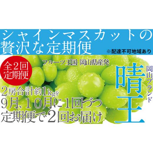 ふるさと納税 岡山県 瀬戸内市 ぶどう 2024年 先行予約 9月・10月発送 シャイン マスカット 晴王 2房（合計約1kg） ブドウ 葡萄  岡山県産 国産 フルーツ 果物…