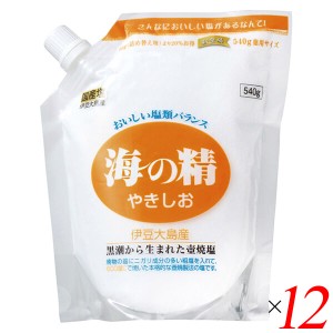 塩 天然塩 天日 海の精 やきしお（スタンドパック）540g 12個セット 送料無料