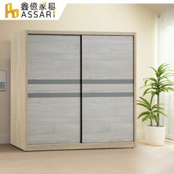 ASSARI-溫莎5尺推門衣櫃(寬150x深60x高198cm)