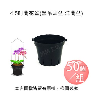4.5吋蘭花盆(黑吊耳盆.洋蘭吊盆) 50個/組