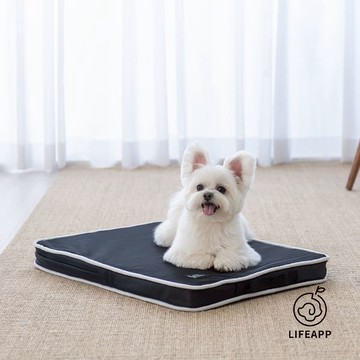 LIFEAPP 經典透芯涼睡墊 狗床 寵物緩壓 - M:W80xD55xH5cm ±5%-曜石黑