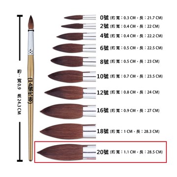Pentel 飛龍牌 ZBS1-20T 水彩畫筆/水彩筆 圓頭型 丸型 11×285mm