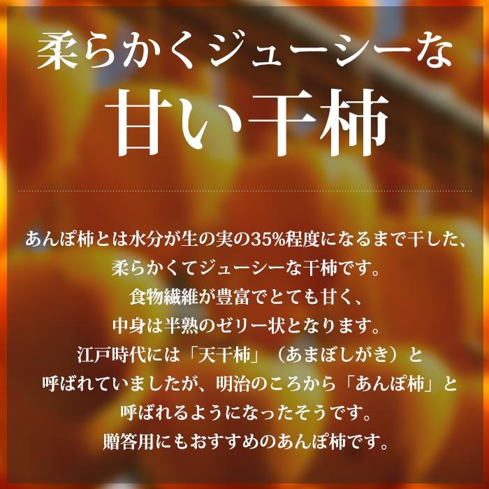 干し柿 富山県産 富山あんぽ柿 L〜3Lサイズ 7〜9個