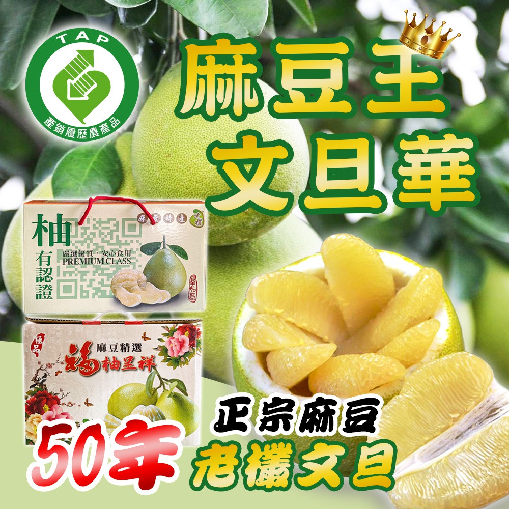 麻豆王 文旦華 正宗麻豆50年老欉文旦5斤/10斤[中秋節預購]1/2/3/4箱 柚子 產地新鮮直送 廠商直送