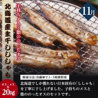 海の幸バラエティーコース 年7回お届け 定期便 ししゃも いくら 魚卵 たらこ サーモン 鮭 毛カニ 蟹