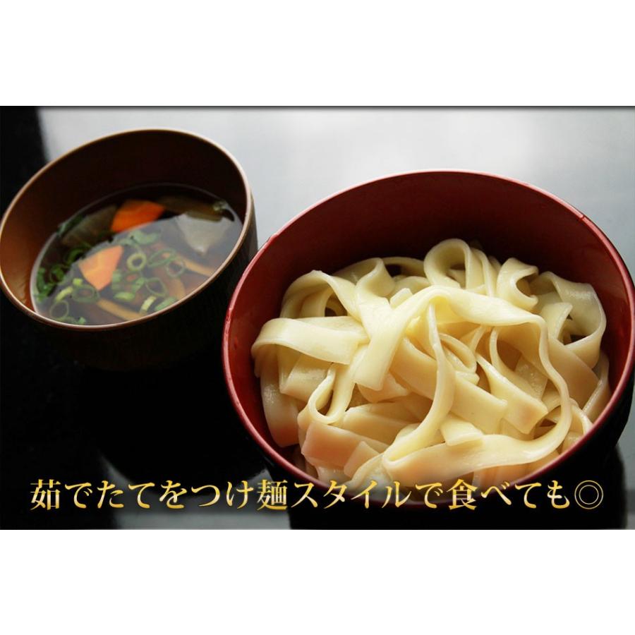 ギフト 本なま麺　ほうとう　10食セット　だし味噌付き　送料無料鍋ほうとう 業務用 ほうとう鍋 味噌味ほうとう山梨 郷土料理