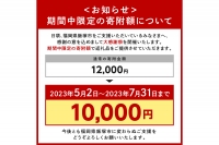 5種のチーズ入り鉄板焼ハンバーグ(デミグラスソース)16個