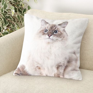 抱枕套 FP2501 貓 NITORI宜得利家居