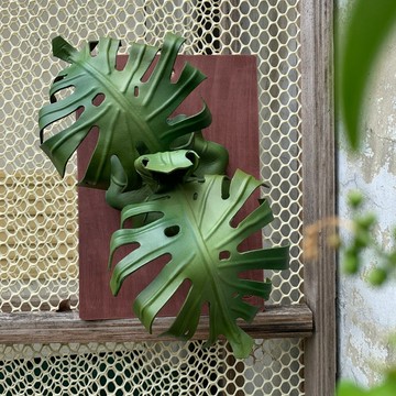 龜背芋 軟裝設計 植栽壁掛 家飾藝術