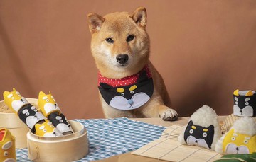 柴犬造型寵物領巾-黑柴/紅白點點