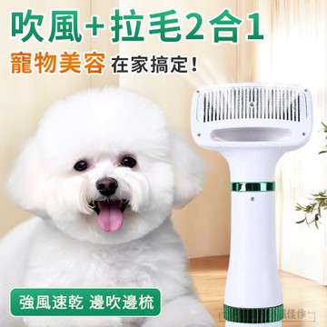 二合一寵物吹風機 吹水機 一鍵除毛清潔梳 寵物梳