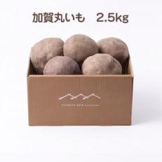 加賀伝統野菜!令和5年度産　加賀丸いも　2.5kg