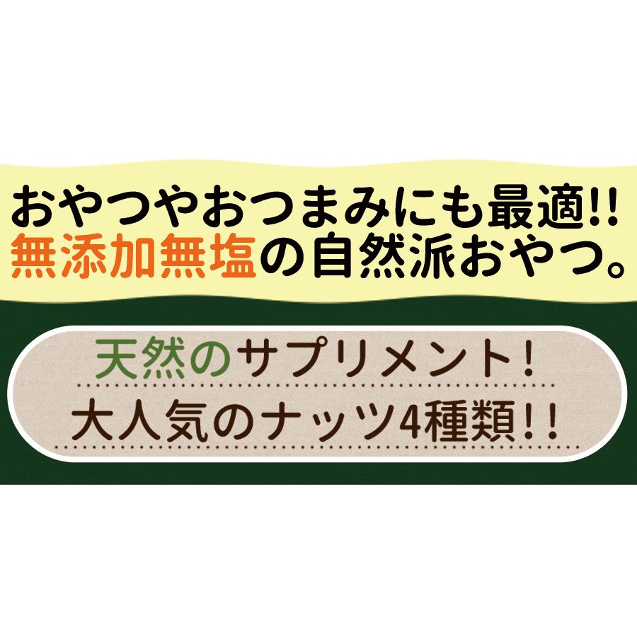 美容健康応援!!無添加無塩☆毎日いきいきミックスナッツ＆シード1kg