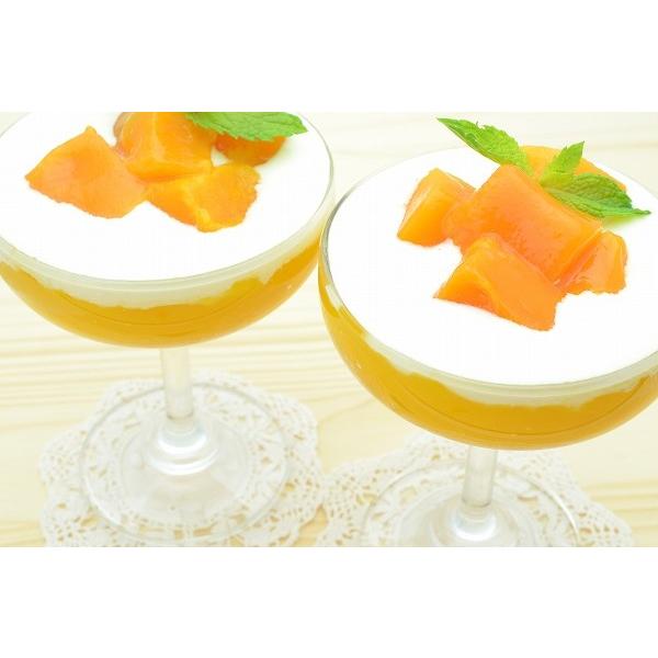 マンゴー 冷凍マンゴー 500g×1パック カットマンゴー 冷凍フルーツ ヨナナス