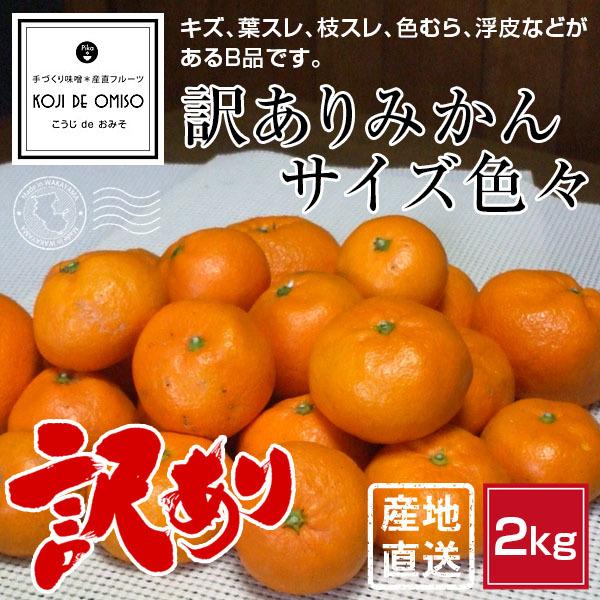 今日のお買い得！ 和歌山産 訳ありみかん サイズ色々 2kg [送料無料]