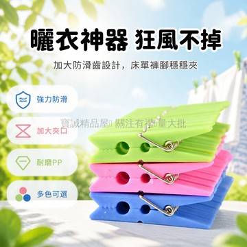 台灣出貨✨ 強力不發霉塑膠夾 家用曬衣夾 防風固定夾 被子衣物夾 多色可選 曬被夾 晾衣夾