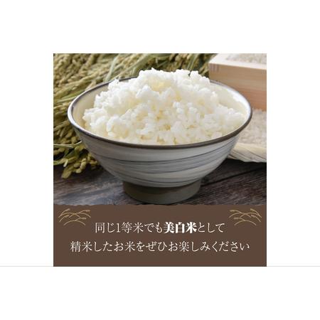 ふるさと納税 令和5年産　丹後こしひかり1等米3kg　美白精米 京都府京丹後市