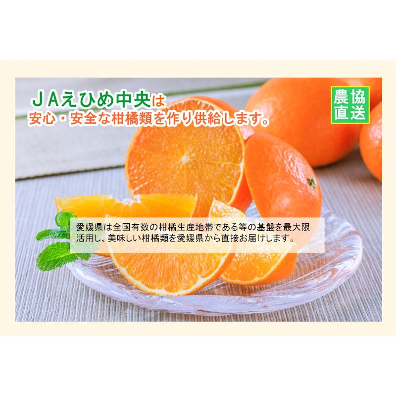 みかん 温州みかん 愛媛県 送料無料 愛媛県の農協 JAえひめ中央 温州みかん 10kg優 贈答用 農協産地直送便でお届け