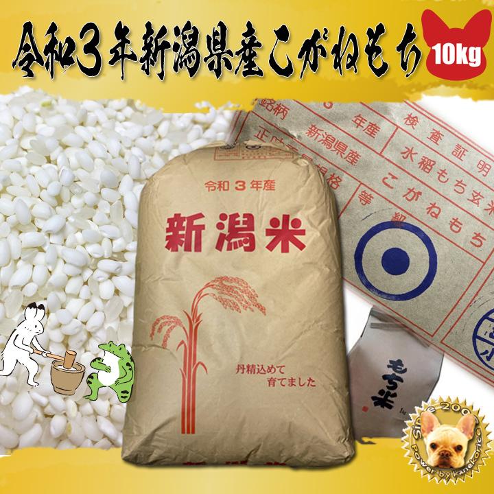 令和5年産 新潟県産 こがね もち米 玄米 30kg 黄金モチ 1等