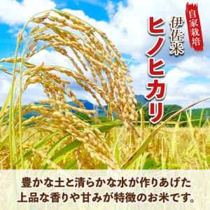 ふるさと納税 isa312 伊佐のお米(5kg×6ヶ月・計30kg) 日本の米どころとして有名な伊佐の伊佐米ヒノヒカリ！ 鹿児島県伊佐市