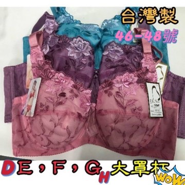 『A&J』#3320 D、E、F、G罩杯（46-48號大尺碼）大罩杯 ▪️大尺碼▪️ 台灣製MIT（薄款刺繡蕾絲內衣）