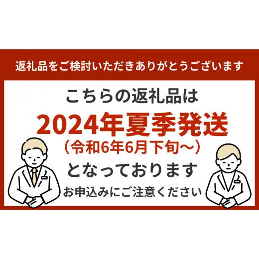 ふるさと納税 沖縄県 うるま市 マンゴランのこだわり高級贈答用完熟マンゴー約２キロ